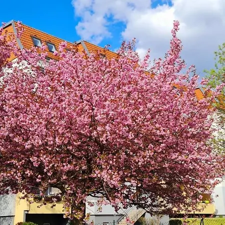 Moderne Wohlfuehlferienwohnung In Hildburghausen