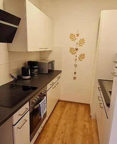 Moderne Wohlfuehlferienwohnung In Hildburghausen