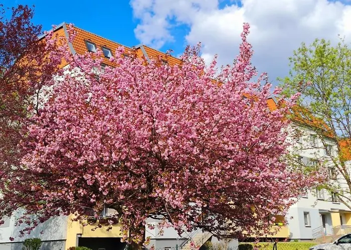 Moderne Wohlfuehlferienwohnung In Hildburghausen